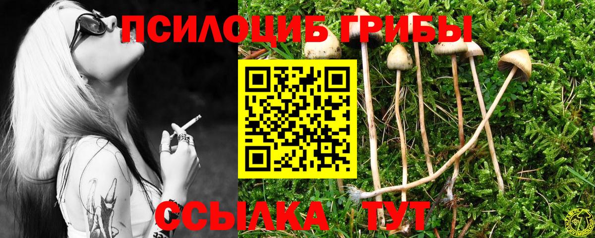 Галлюциногенные грибы Cubensis  Вход с VPN  Заводоуковск 