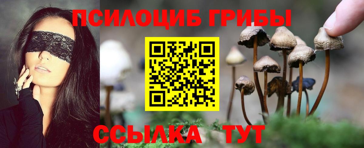 Галлюциногенные грибы MAGIC MUSHROOMS Заводоуковск